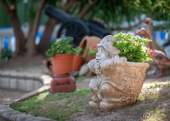 Отель Zeus Мерида